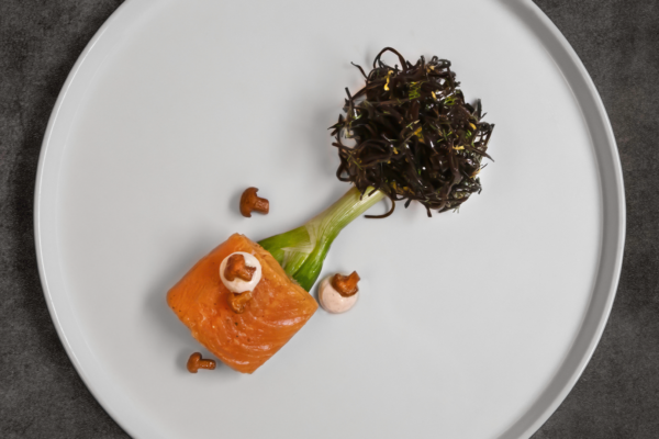 Arctic Char