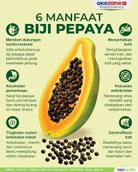 Biji Pepaya,