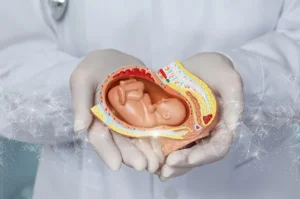 Reproduksi