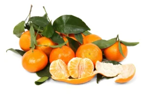 Jeruk Mandarin