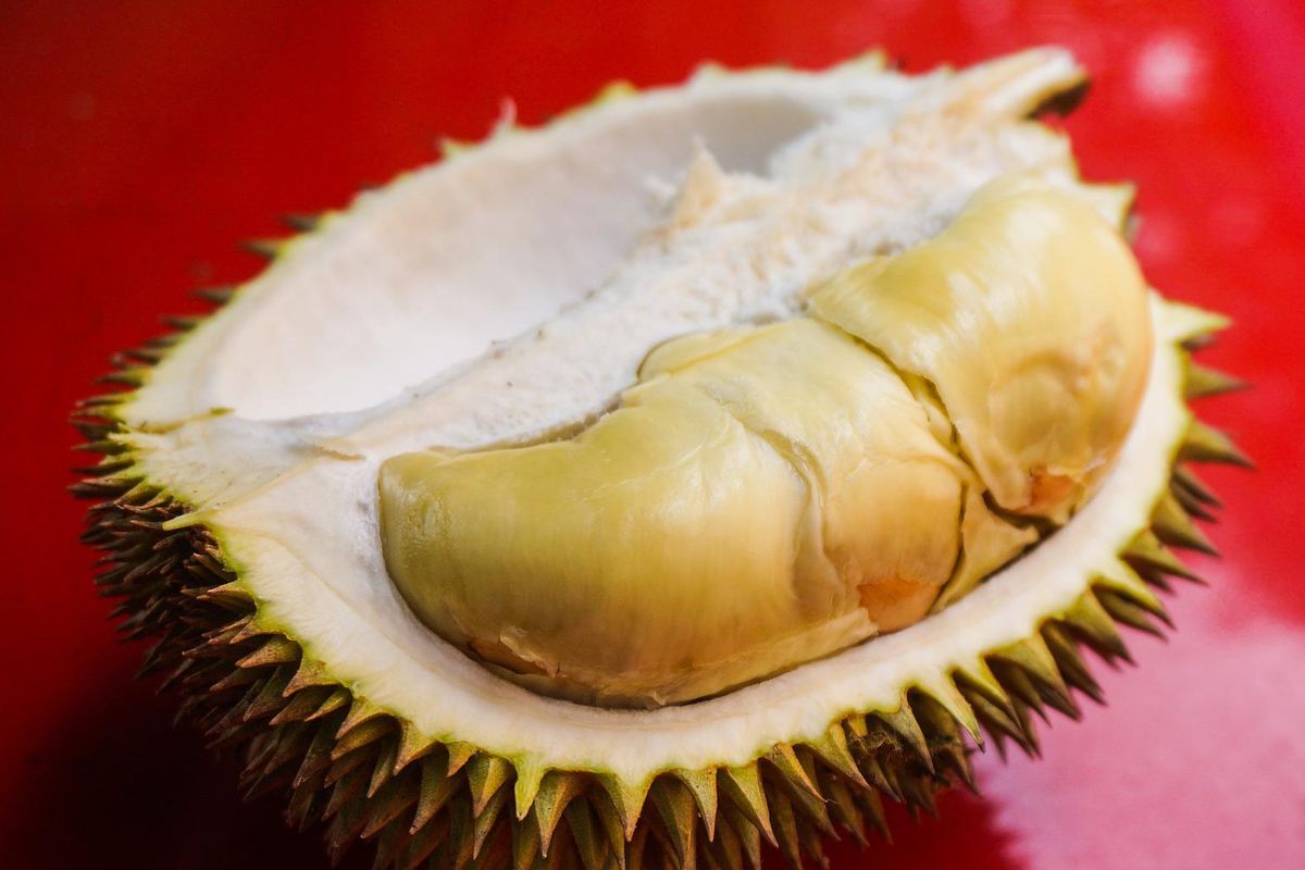 Durian Medan