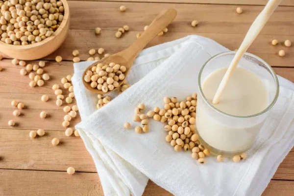 Susu Kacang