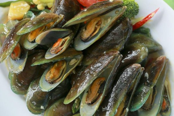 Kerang Hijau