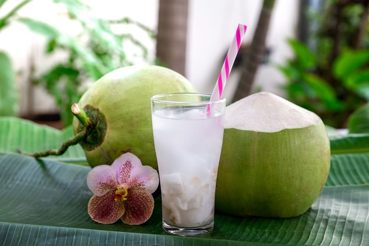Es Kelapa Muda: Manfaat Kesehatan dan Kesegarannya untuk Semua Usia