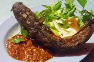 Pecel Lele Sambal Terasi