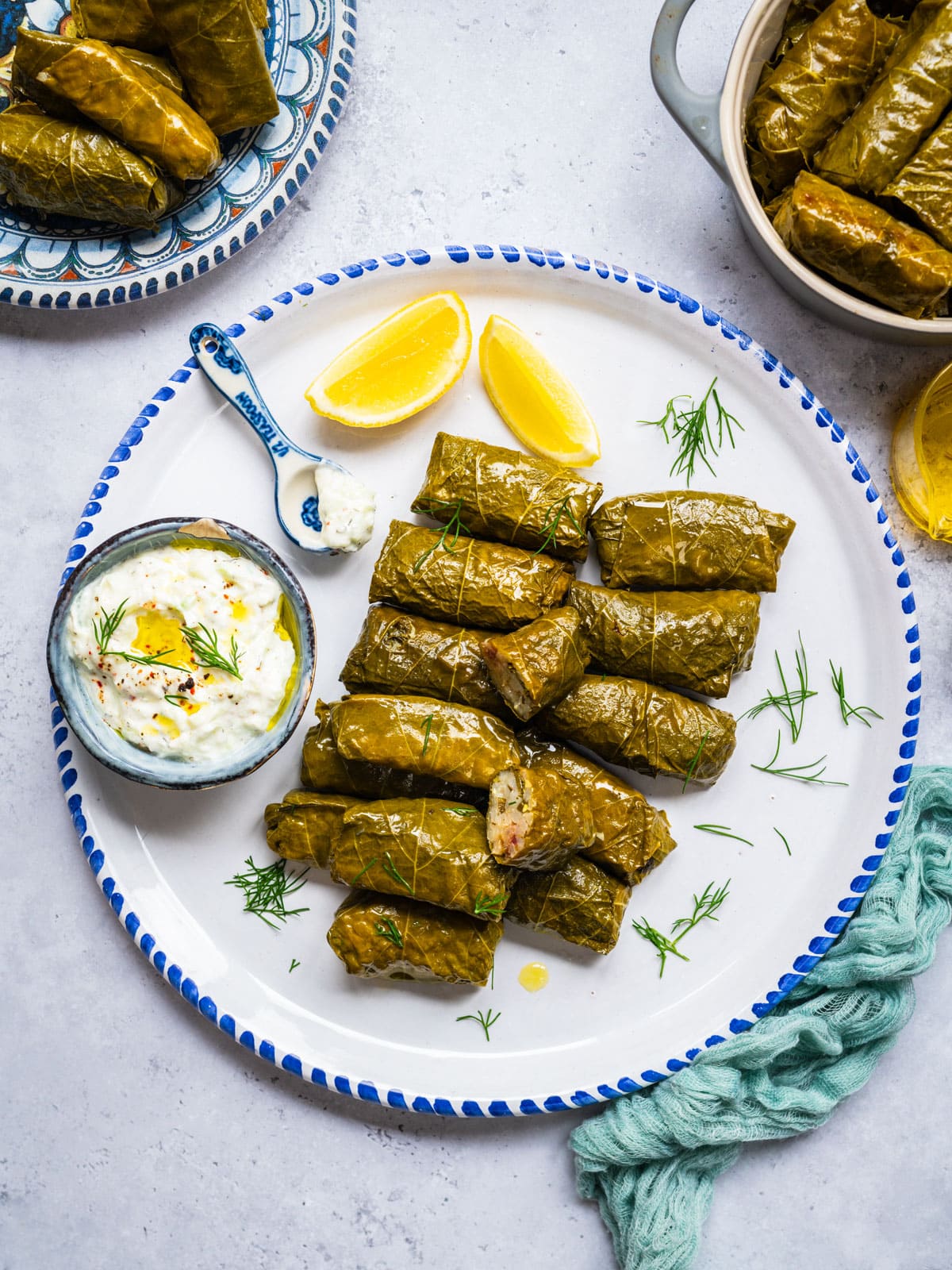 Dolmades Delights