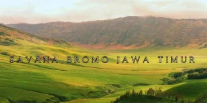 Savana Bromo