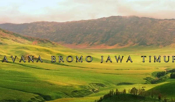 Savana Bromo