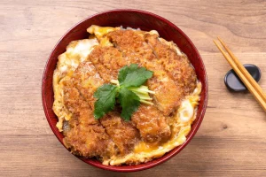 Katsudon Jepang