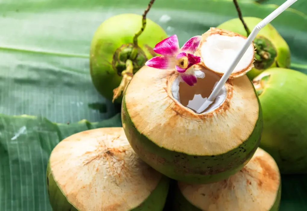 Es Kelapa