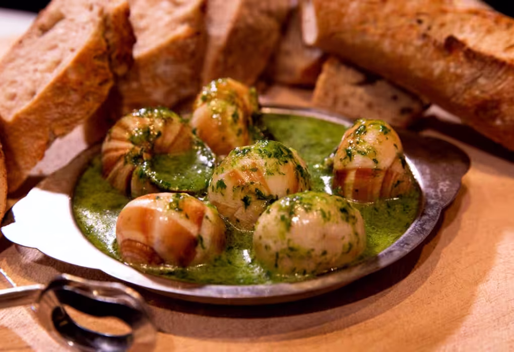 Escargot Burgundy