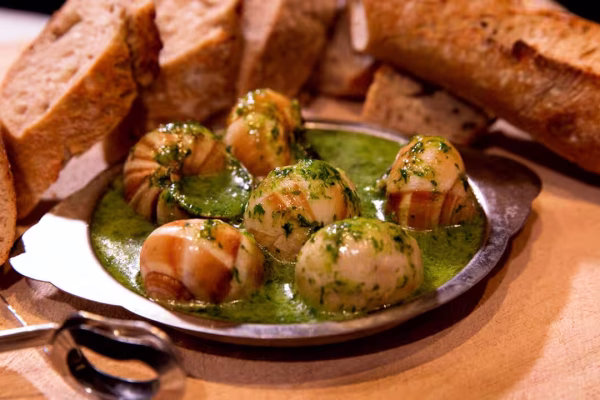 Escargot Burgundy