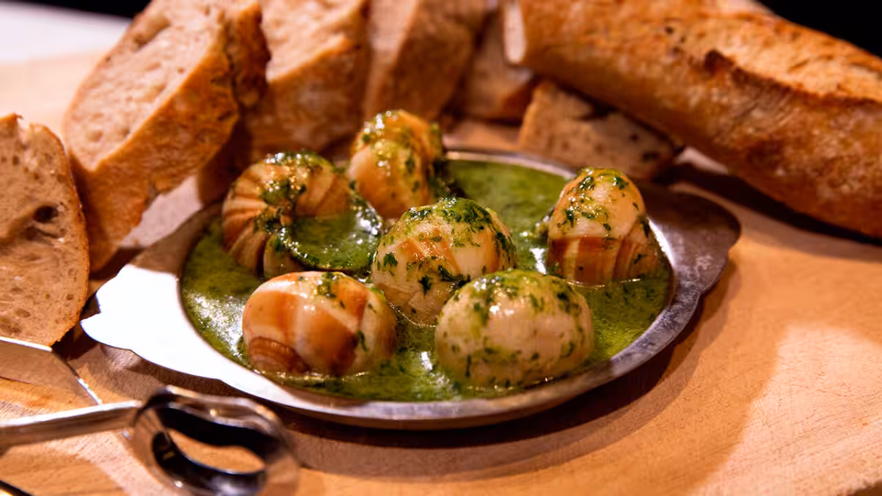 Escargot Burgundy