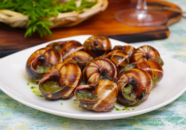 Escargot Burgundy